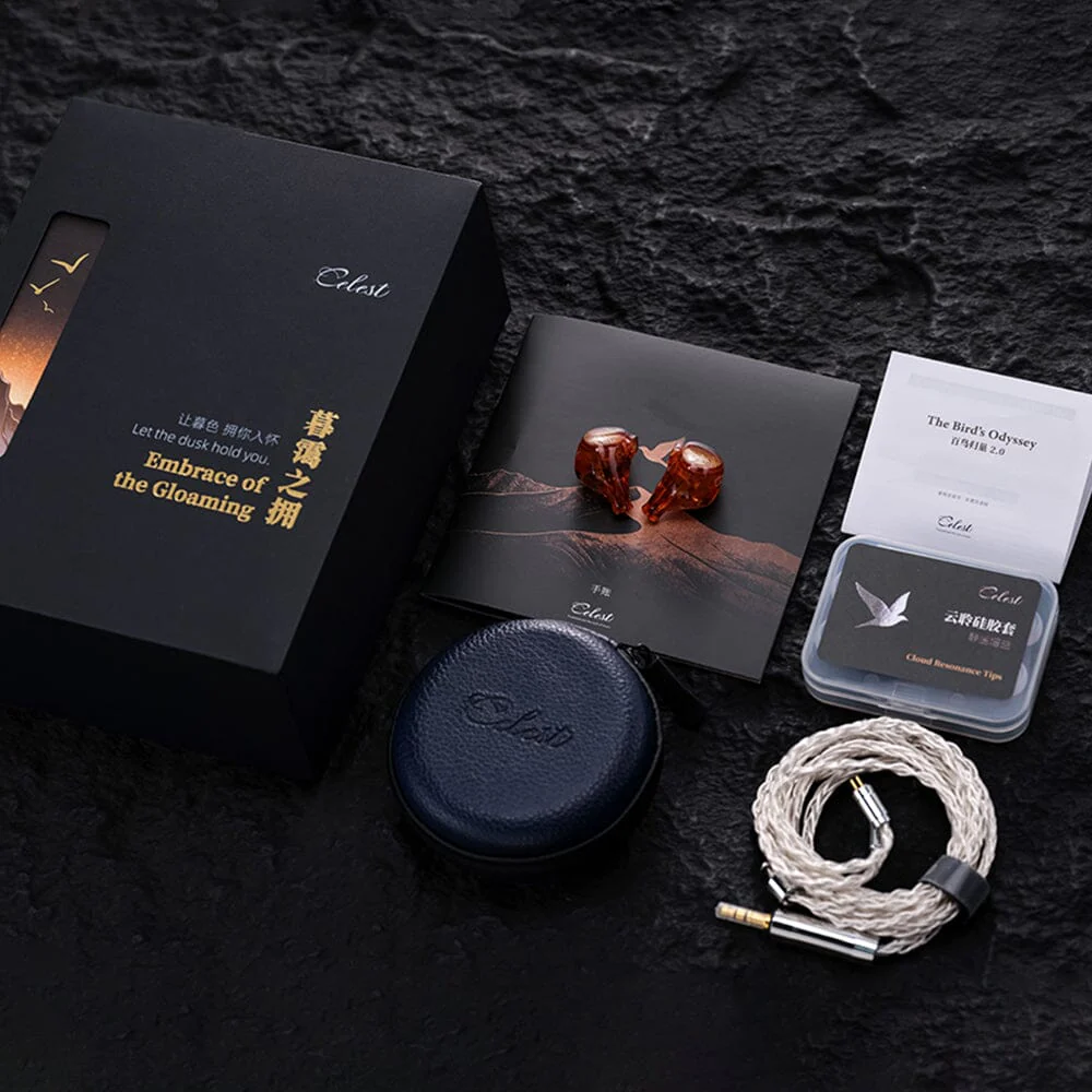 Kinera Celest Phoenixcall 2.0 2DD + 2BA + 2 Planar Drivers IEMs - Image 3