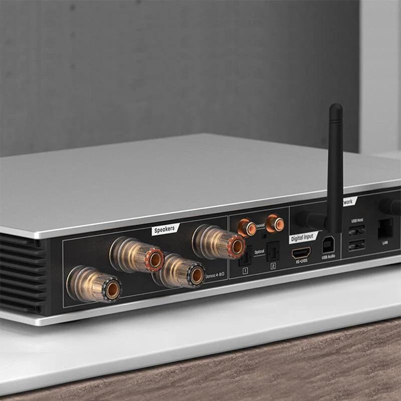 Matrix Element P music server preamplifier 9028 DAC combined Power AMP - Image 5