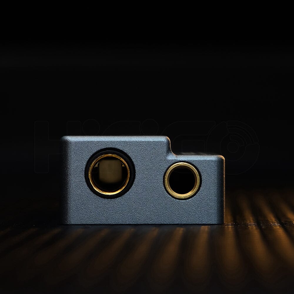 ROSESELSA RS9039 / RS 9039 All-New ES9039Q2M DSD256 DAC / Headphone AMP - Image 6