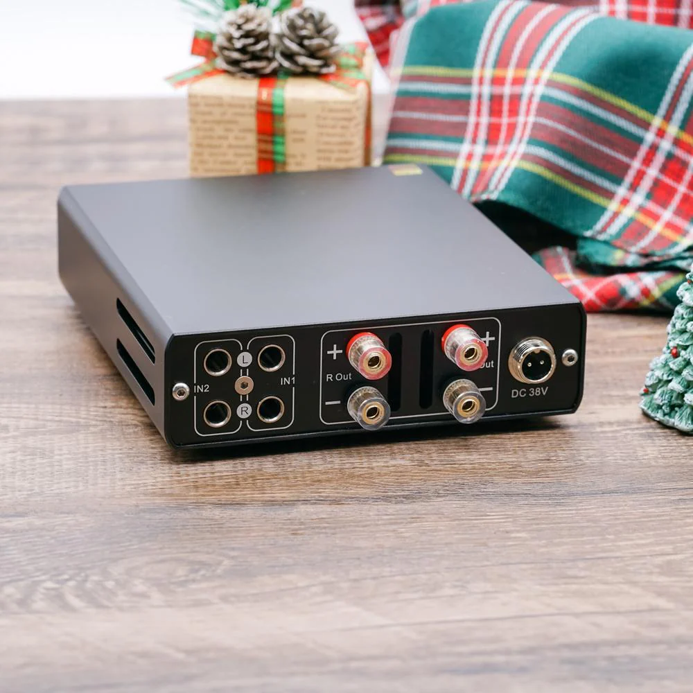 Open Box TOPPING PA5 Fully Balanced Class D Power Amplifier (Worldwide Shipping) - Image 4